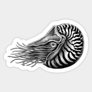 Nautilus Sticker